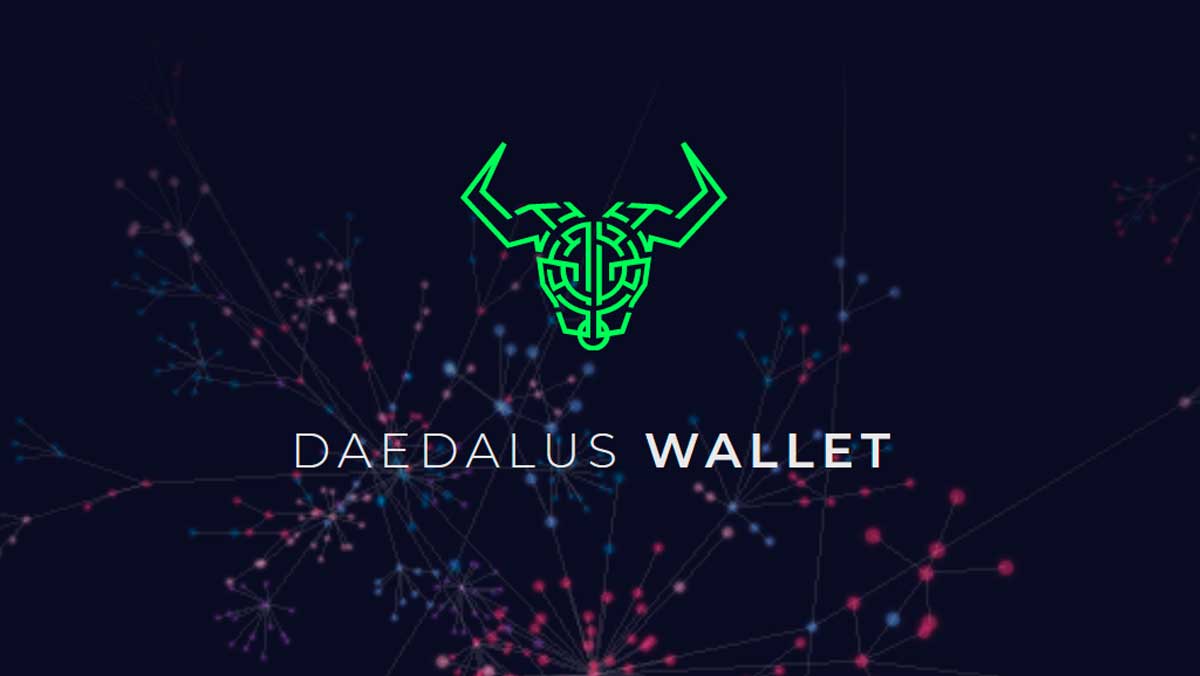 Is Daedalus or a light wallet better for you?