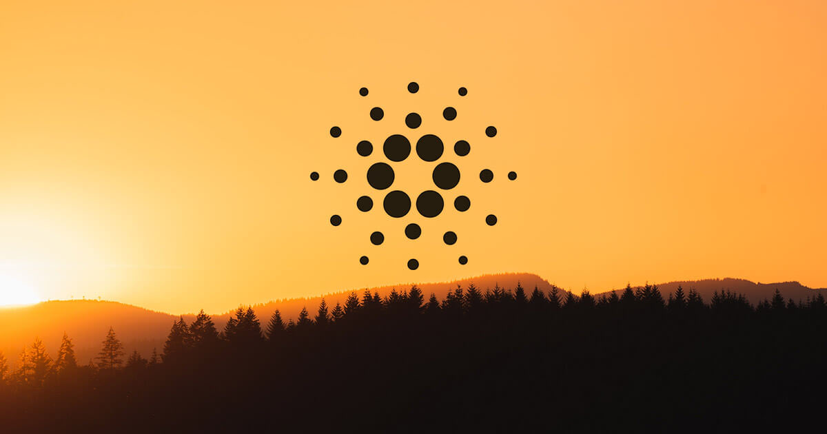 What is Cardano (newcomers)