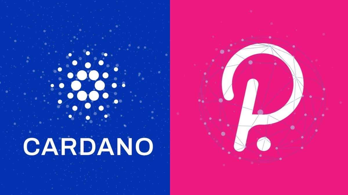 Differences between Cardano and Polkadot 
