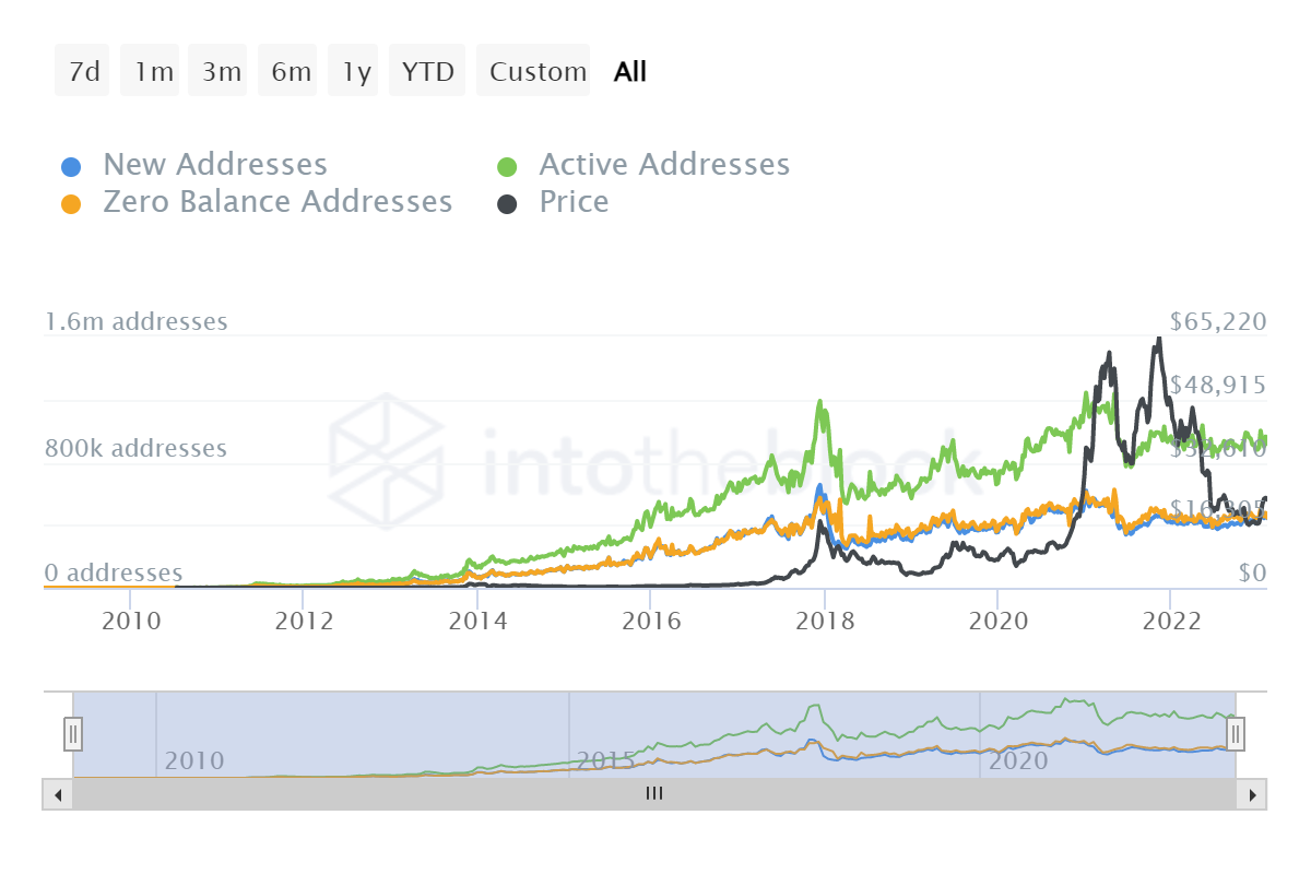 Cardano 'ghost chain' outperforms top blockchains in NFT market